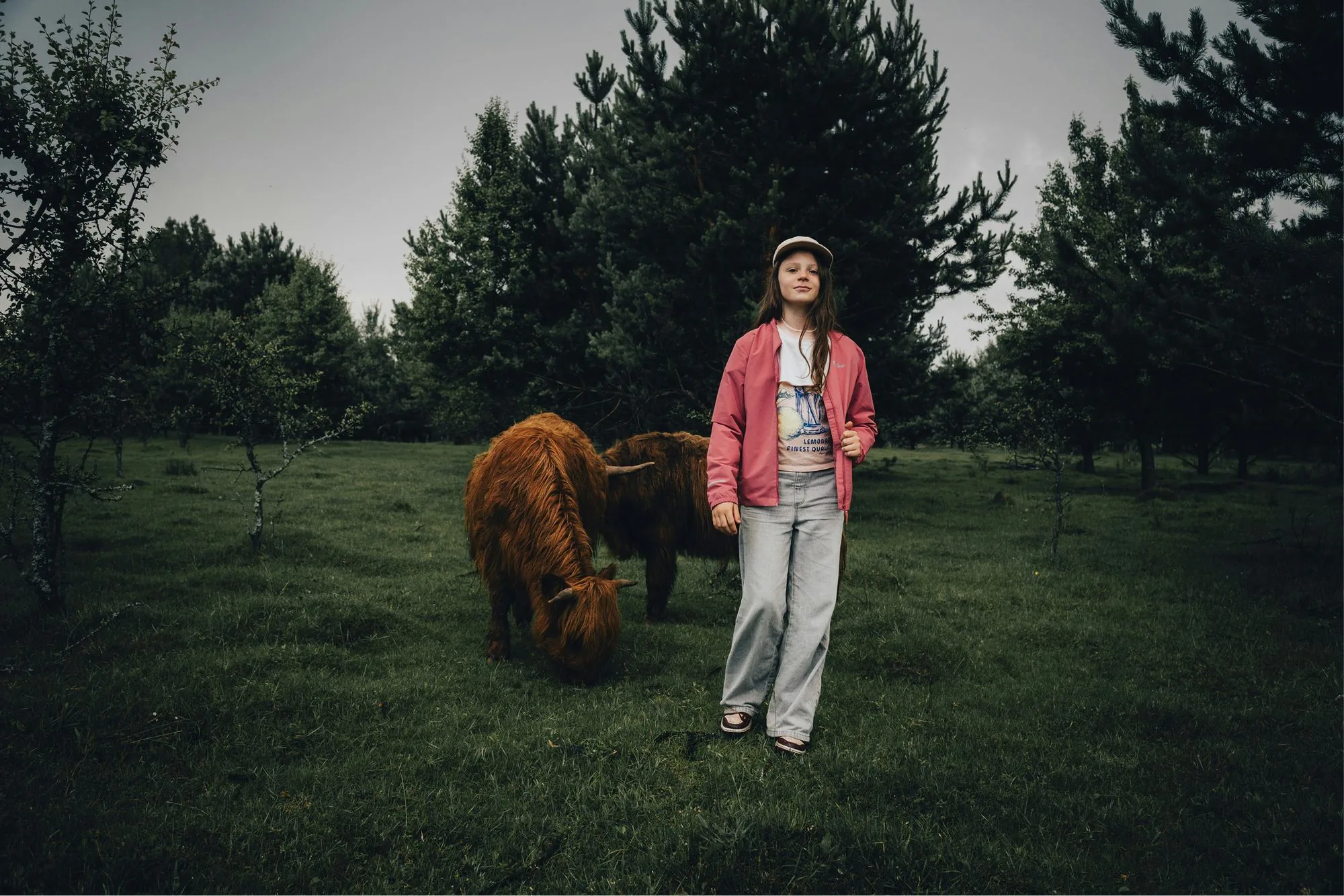 Dívka stojí na pastvině vedle skotského náhorního skotu.